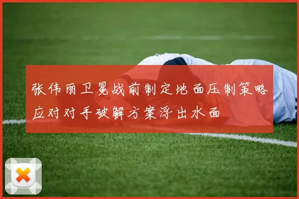 张伟丽卫冕战前制定地面压制策略应对对手破解方案浮出水面