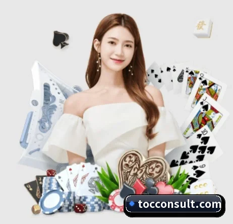国际化进程 - 业务范围覆盖中国大陆、香港、台湾、东南亚、北美等地区。